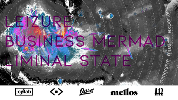 businessmermaid project